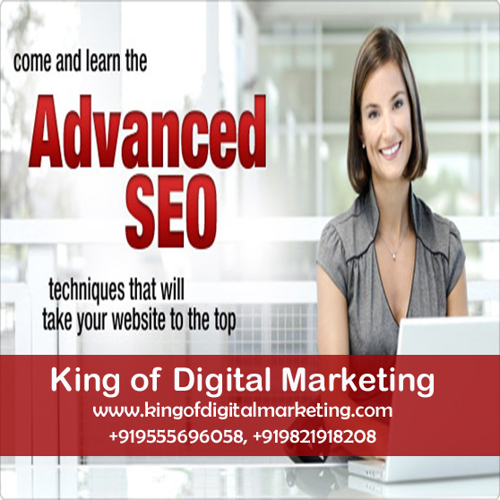 SEO Training in India Delhi